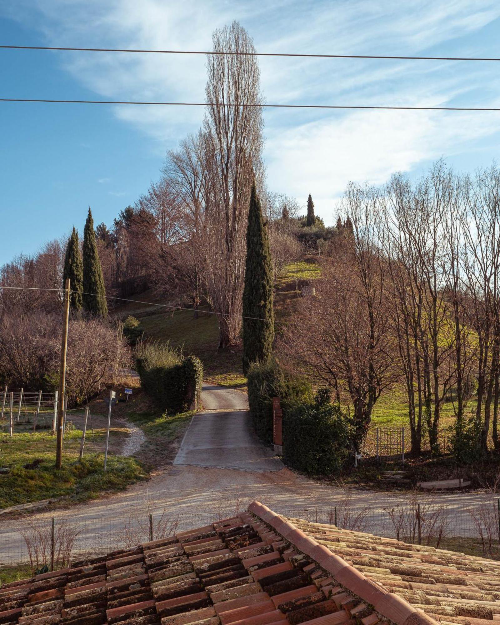 فيتوريو فينيتو Agriturismo La Vigna Di Sarah المظهر الخارجي الصورة